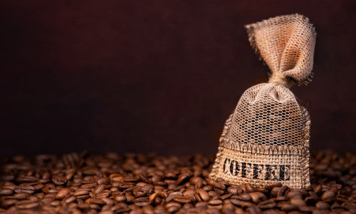 A new journey begins for Alley Cats Coffee